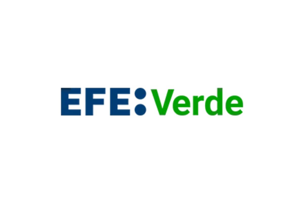 Efe verde logo